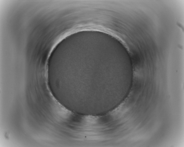 X0000099471514200805091536