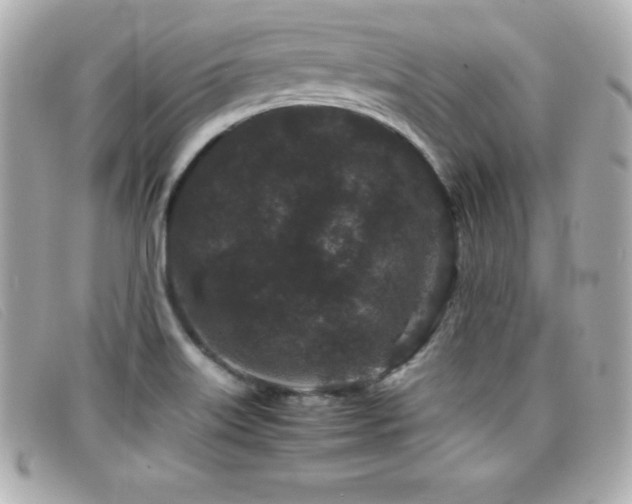 X0000099471515200805091536