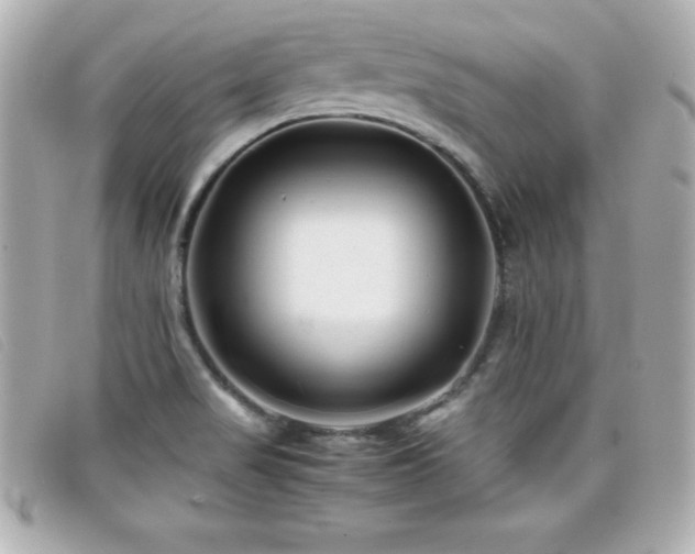 X0000099471517200805091536