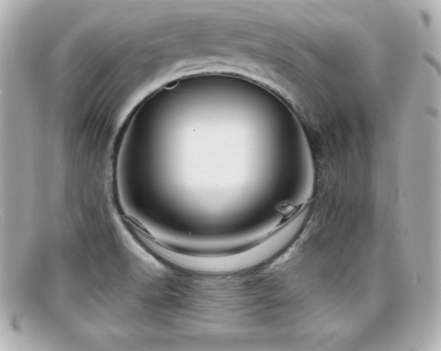 X0000099471518200805091536