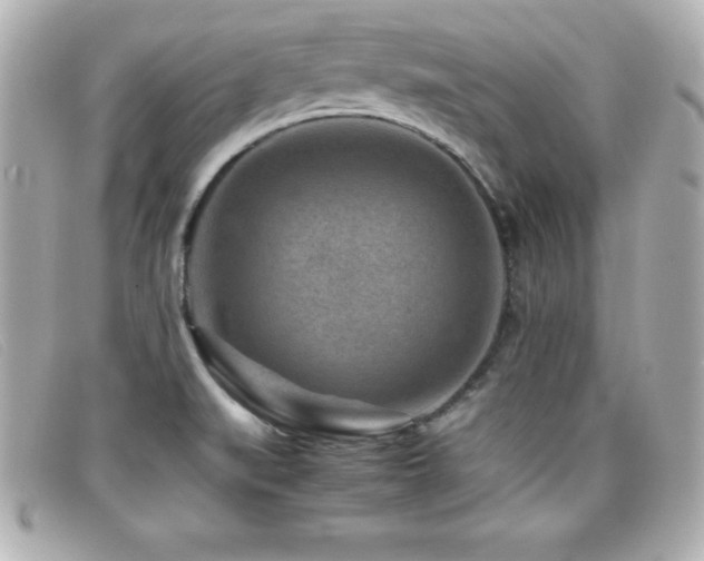 X0000099471519200805091536