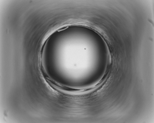 X0000099471520200805091536