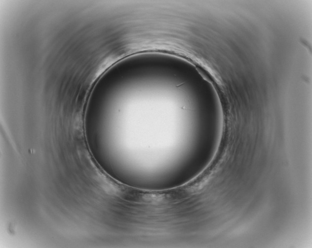 X0000099471521200805091536