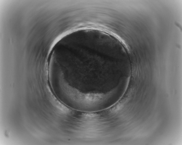 X0000099471522200805091536