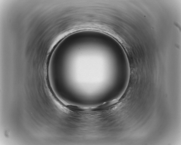 X0000099471523200805091536