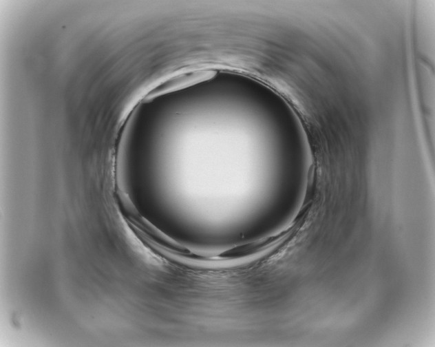 X0000099471524200805091536
