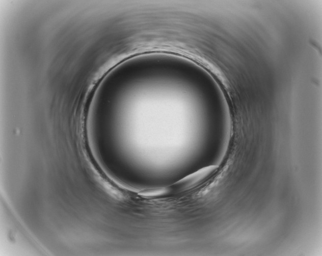 X0000099471525200805091536