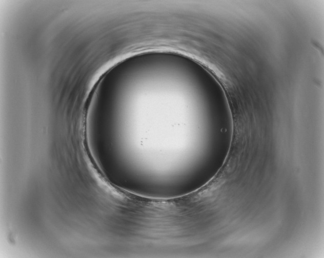 X0000099471526200805091536