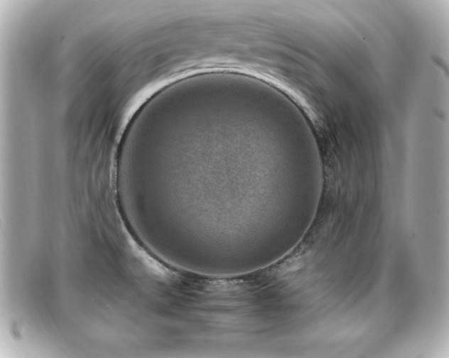 X0000099471527200805091536
