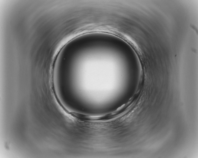 X0000099471528200805091536
