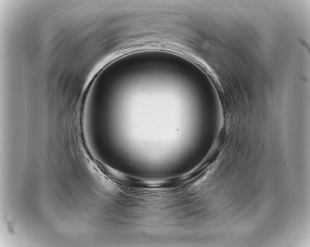 X0000099471530200805091536