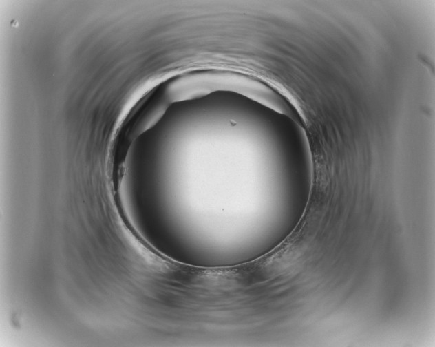 X0000099471531200805091536