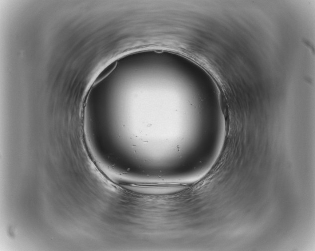 X0000099471532200805091536