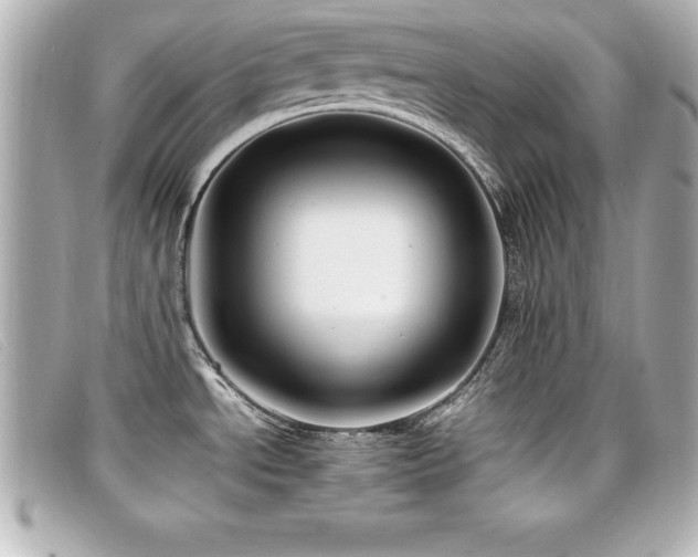 X0000099471534200805091536