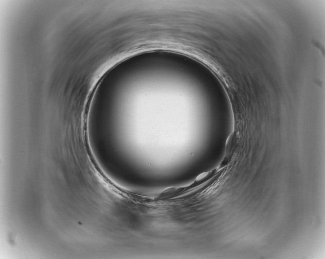 X0000099471535200805091536