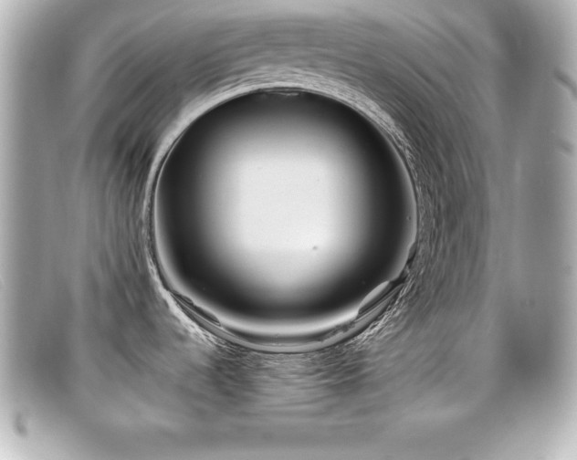 X0000099471536200805091536