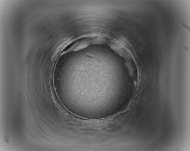 X0000099470001200805161122