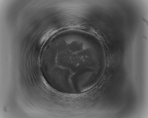 X0000099470002200805161122
