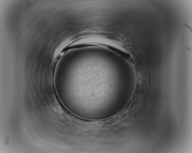 X0000099470004200805161122