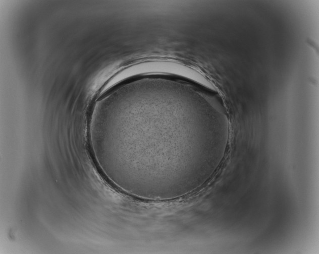X0000099470005200805161122