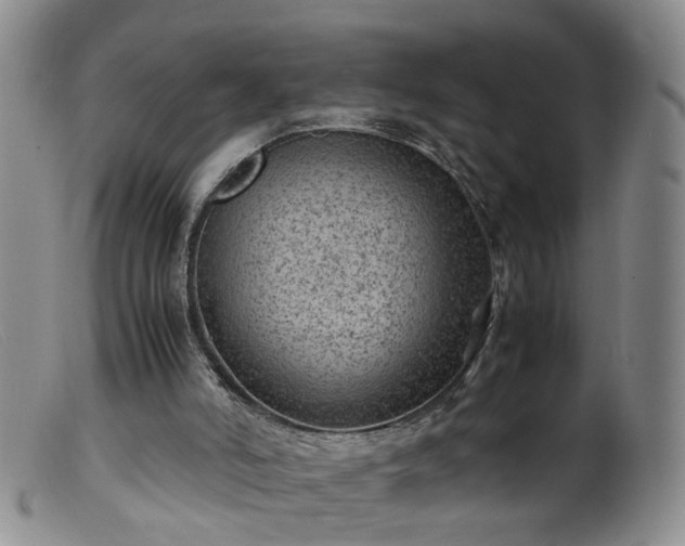 X0000099470006200805161122
