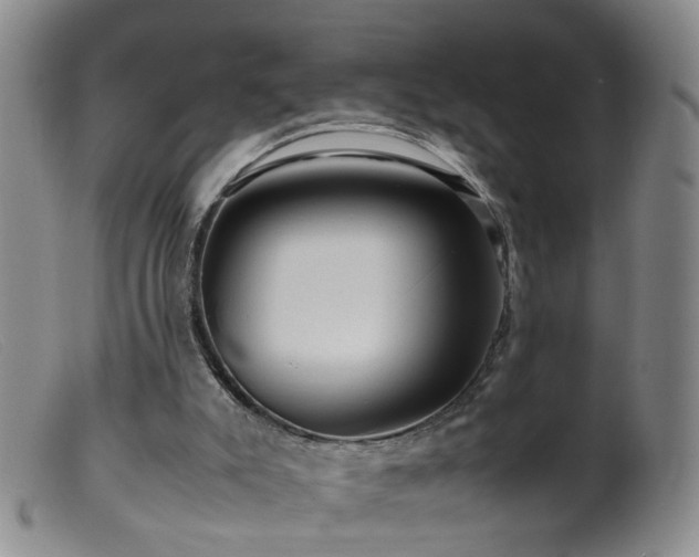 X0000099470007200805161122