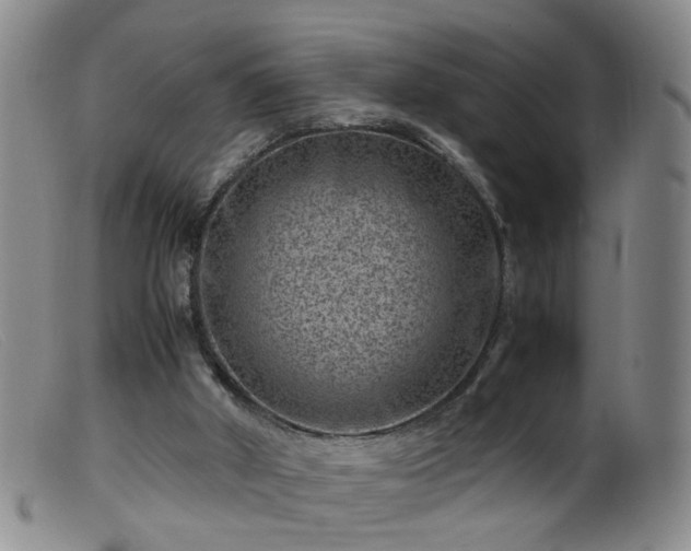 X0000099470010200805161122