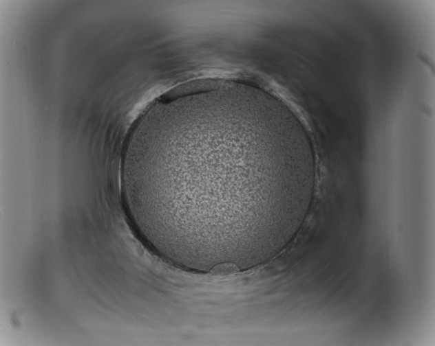 X0000099470011200805161122