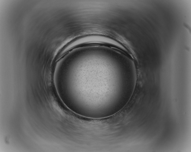 X0000099470012200805161122
