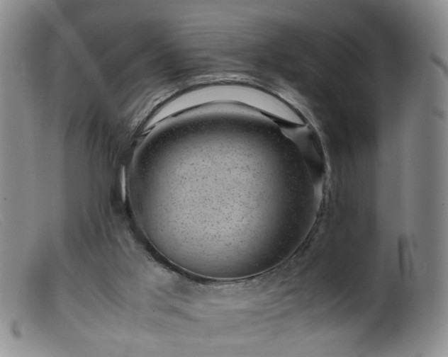 X0000099470013200805161122