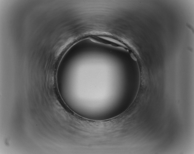 X0000099470015200805161122