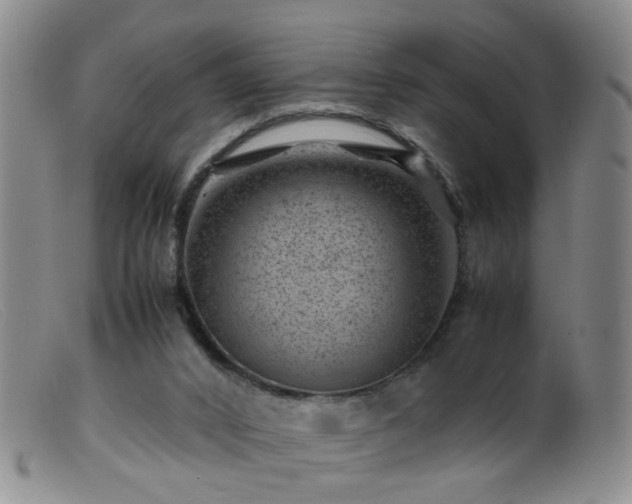 X0000099470016200805161122