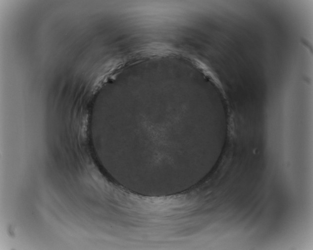 X0000099470018200805161122