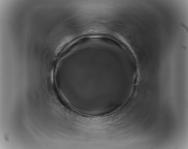 X0000099470019200805161122