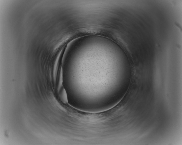 X0000099470020200805161122