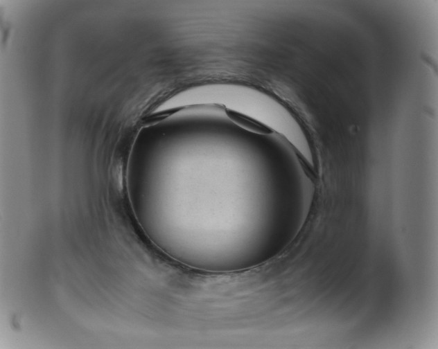 X0000099470021200805161122