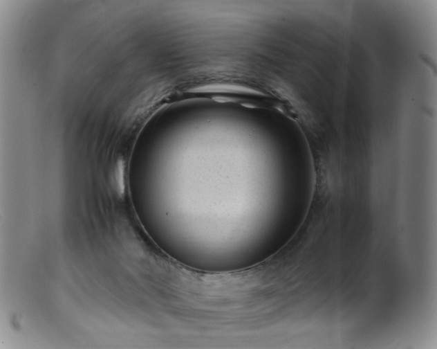 X0000099470022200805161122