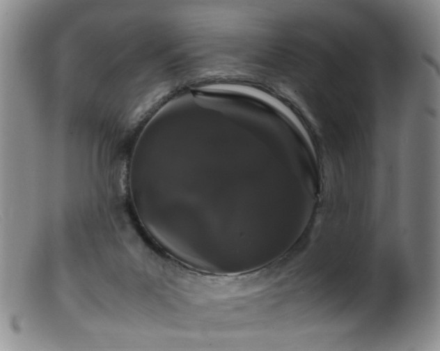 X0000099470023200805161122