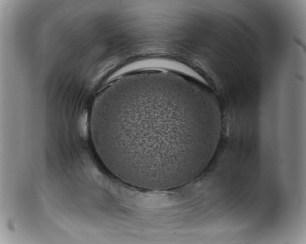 X0000099470024200805161122