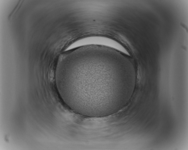 X0000099470025200805161122