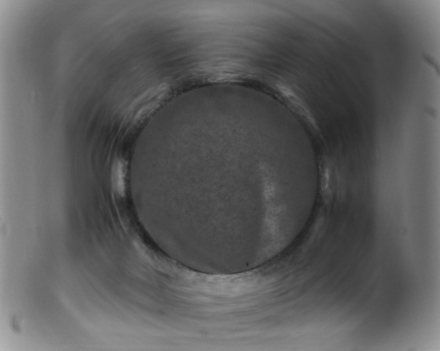 X0000099470026200805161121