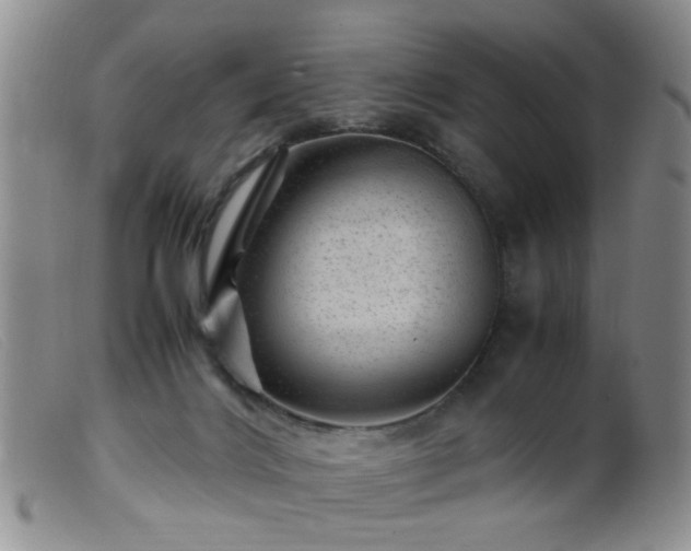 X0000099470028200805161121