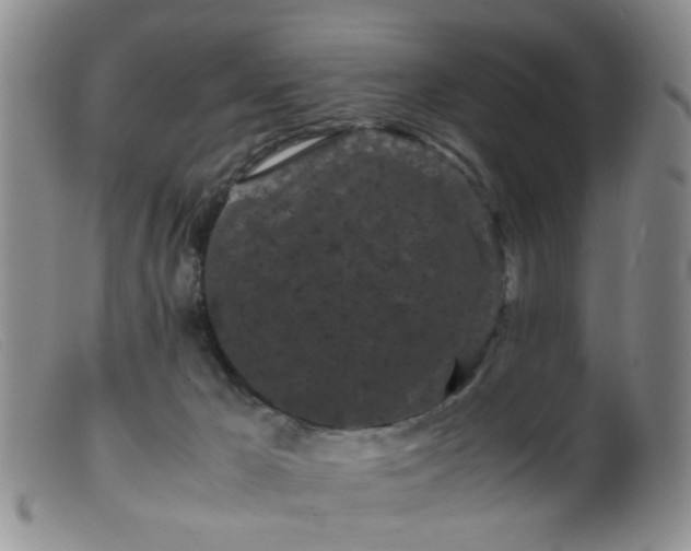 X0000099470029200805161121