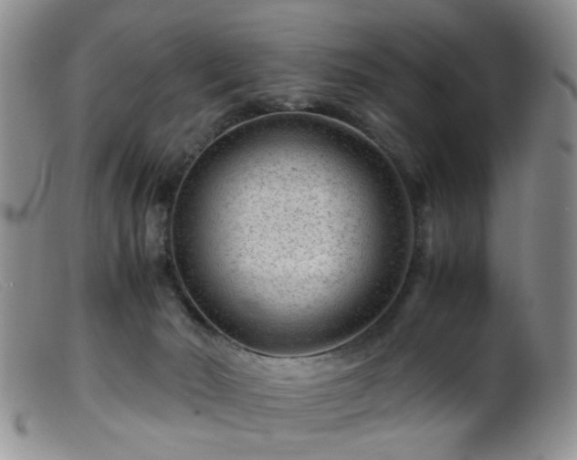 X0000099470030200805161121