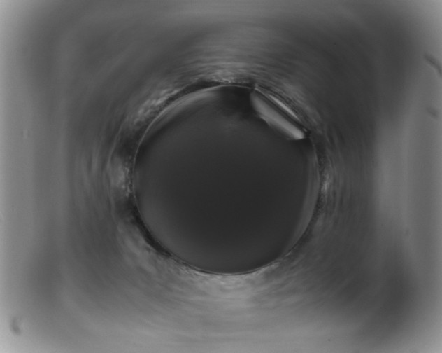 X0000099470031200805161121