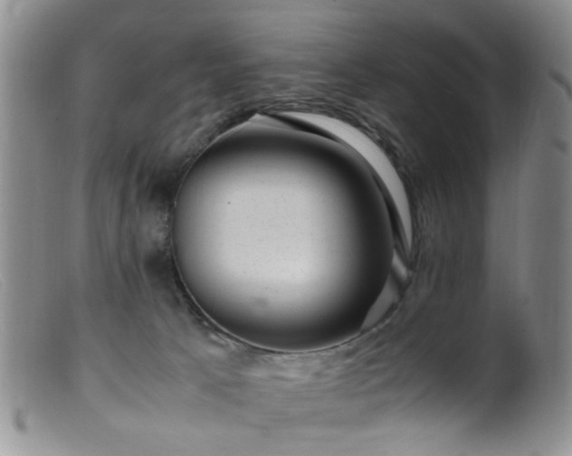 X0000099470033200805161121