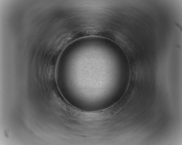 X0000099470034200805161121