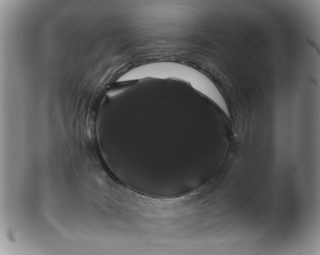 X0000099470035200805161121