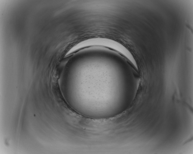 X0000099470037200805161121