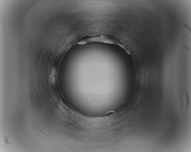 X0000099470038200805161121
